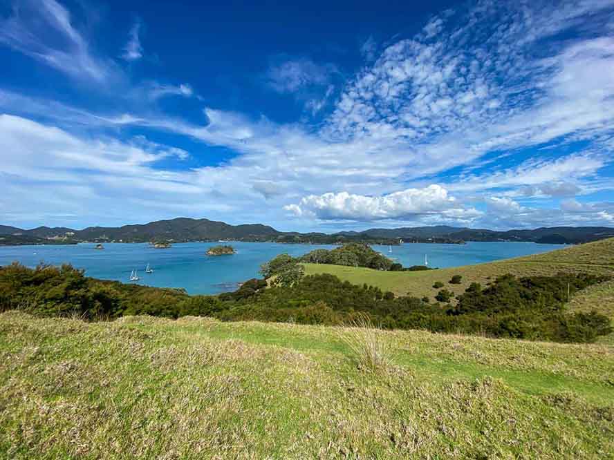 Sailing in The Bay of Islands