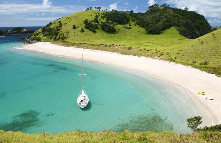 Sailing in The Bay of Islands